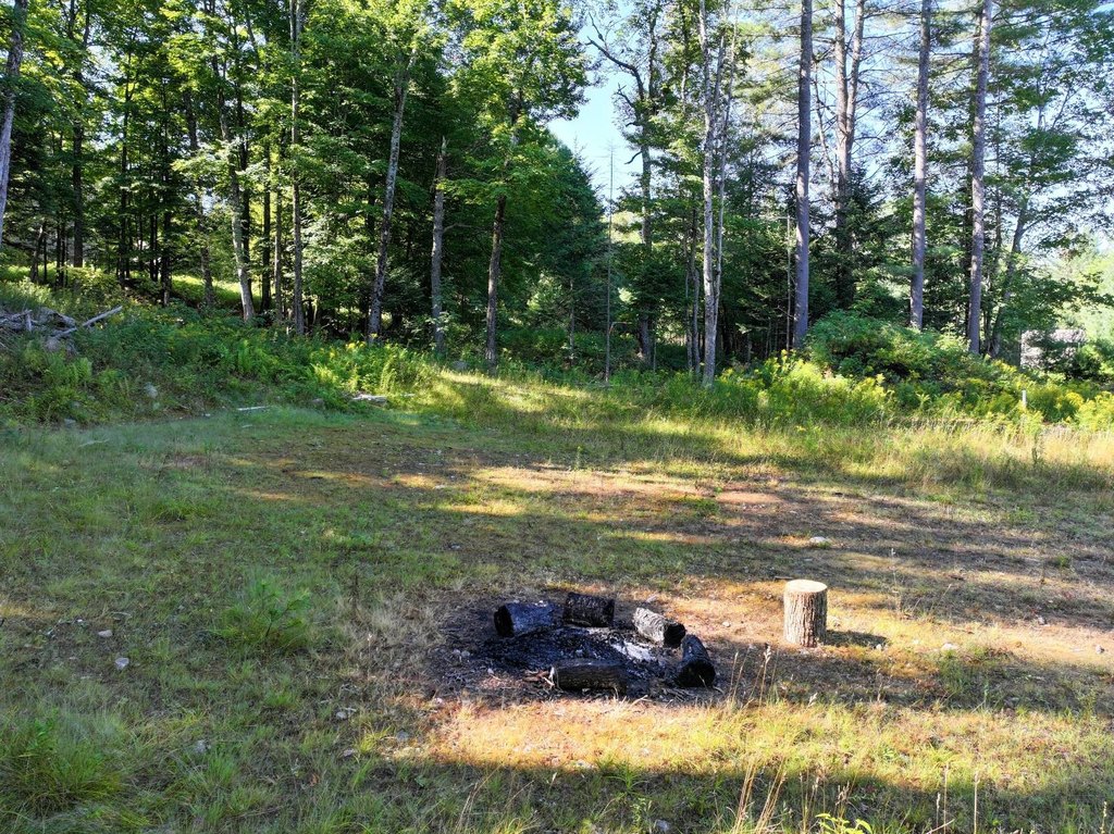 Picture 16