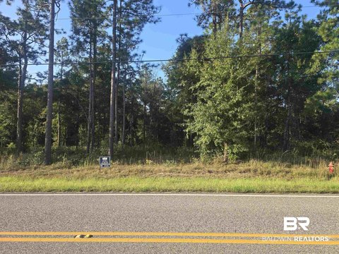 Residential Lots in Stapleton, AL