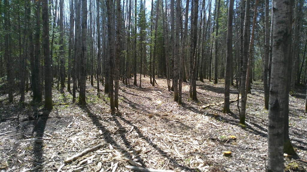 Picture 4