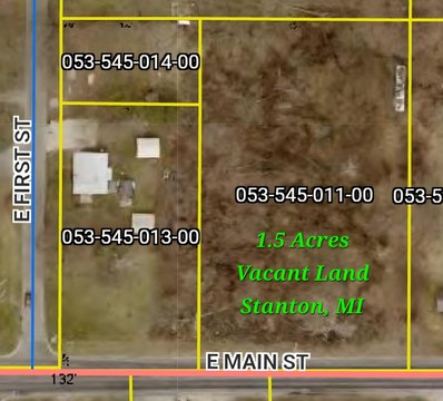 Vacant Land in Stanton, MI