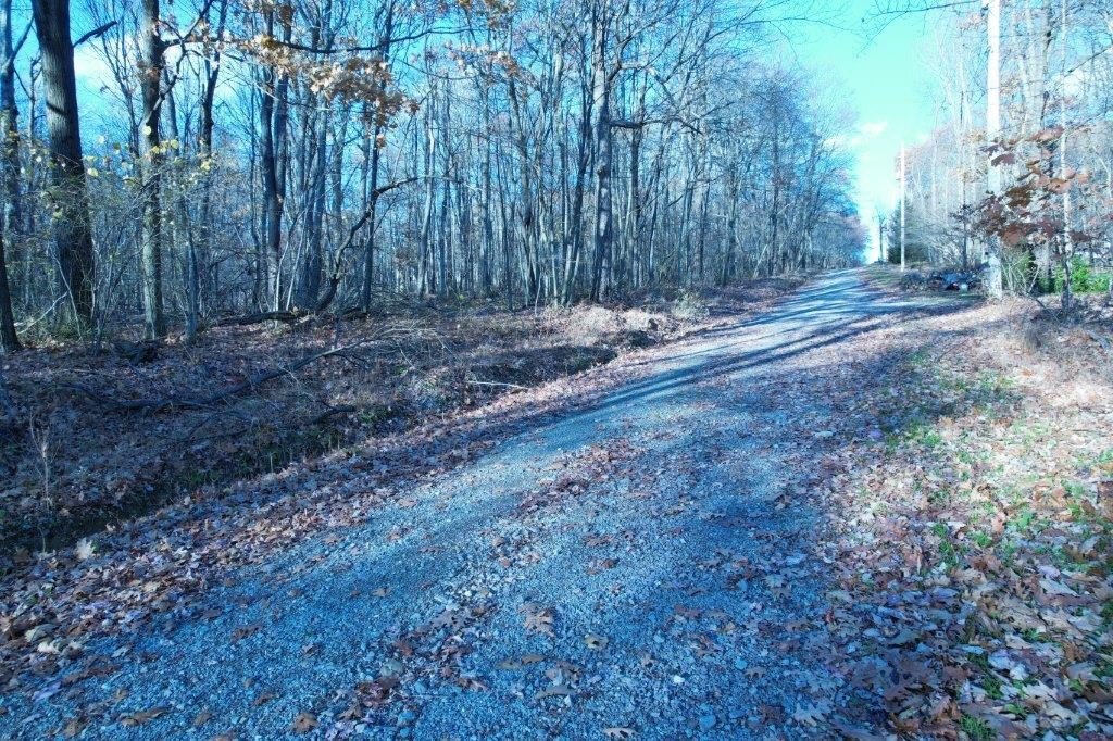 Picture 19