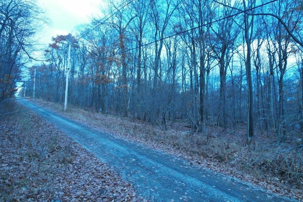 Picture 5