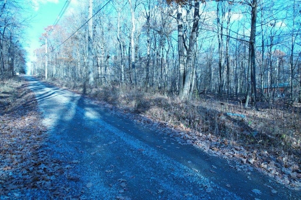Picture 18