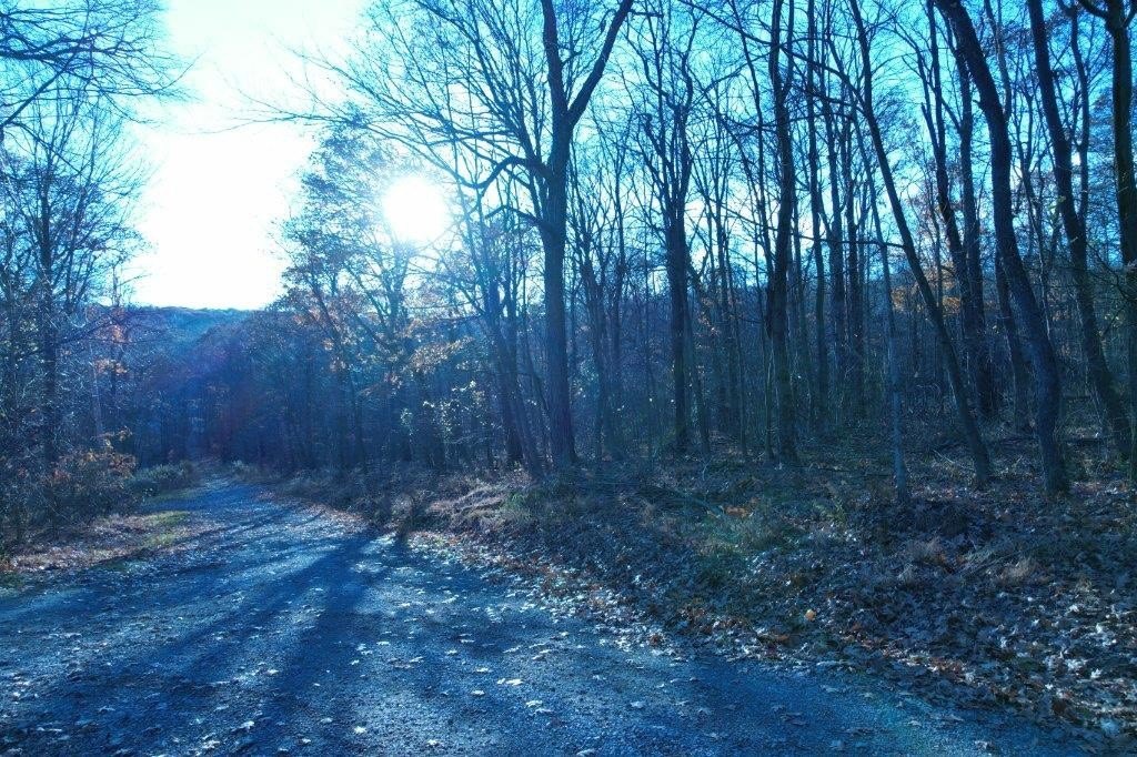 Picture 20