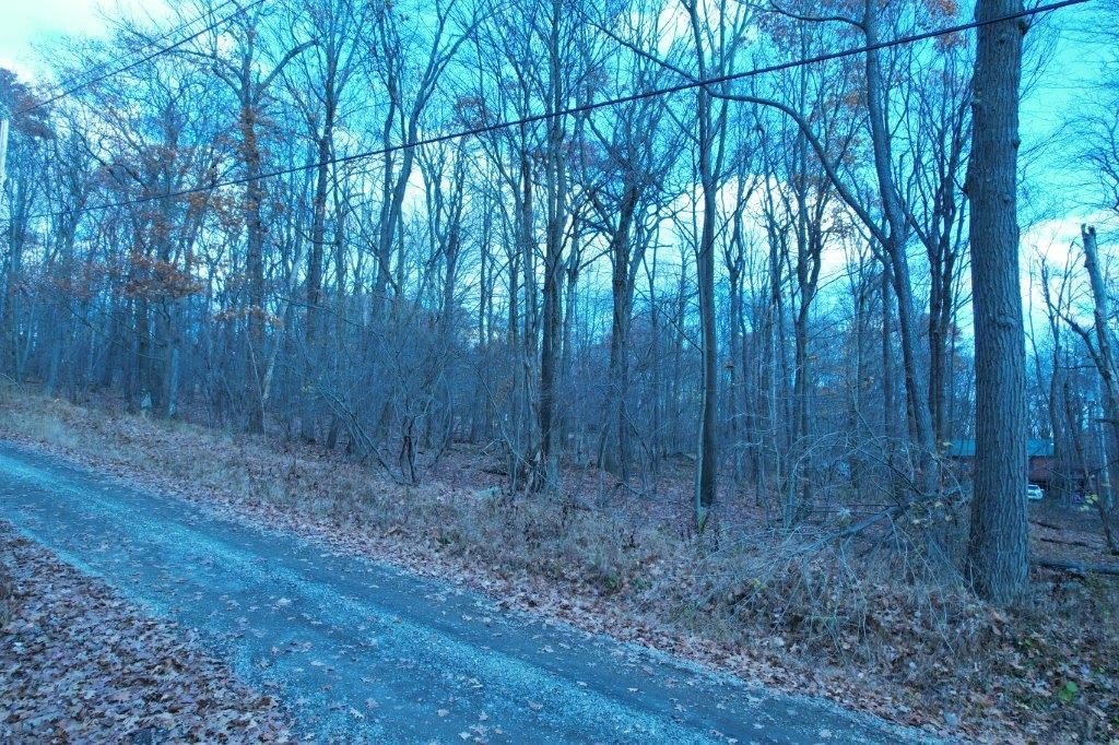 Picture 4