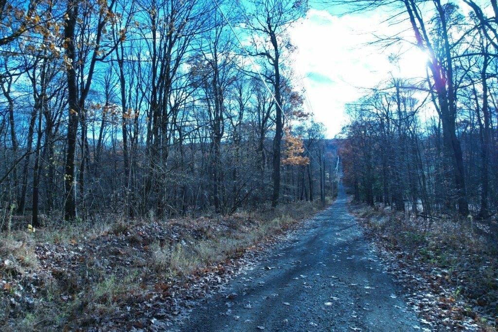 Picture 3