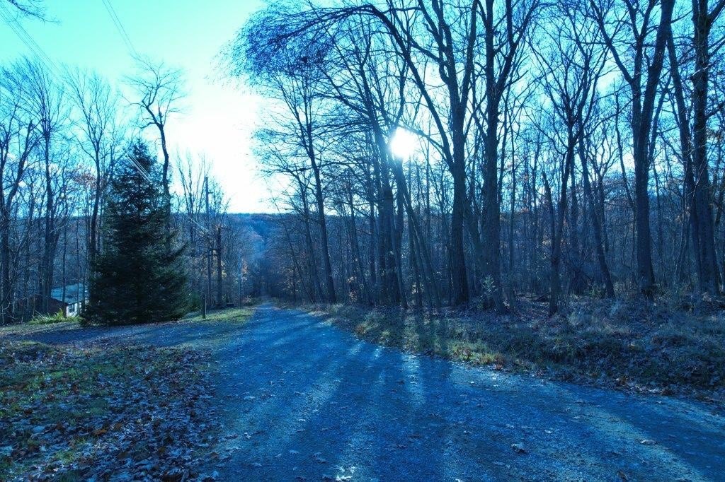Picture 21
