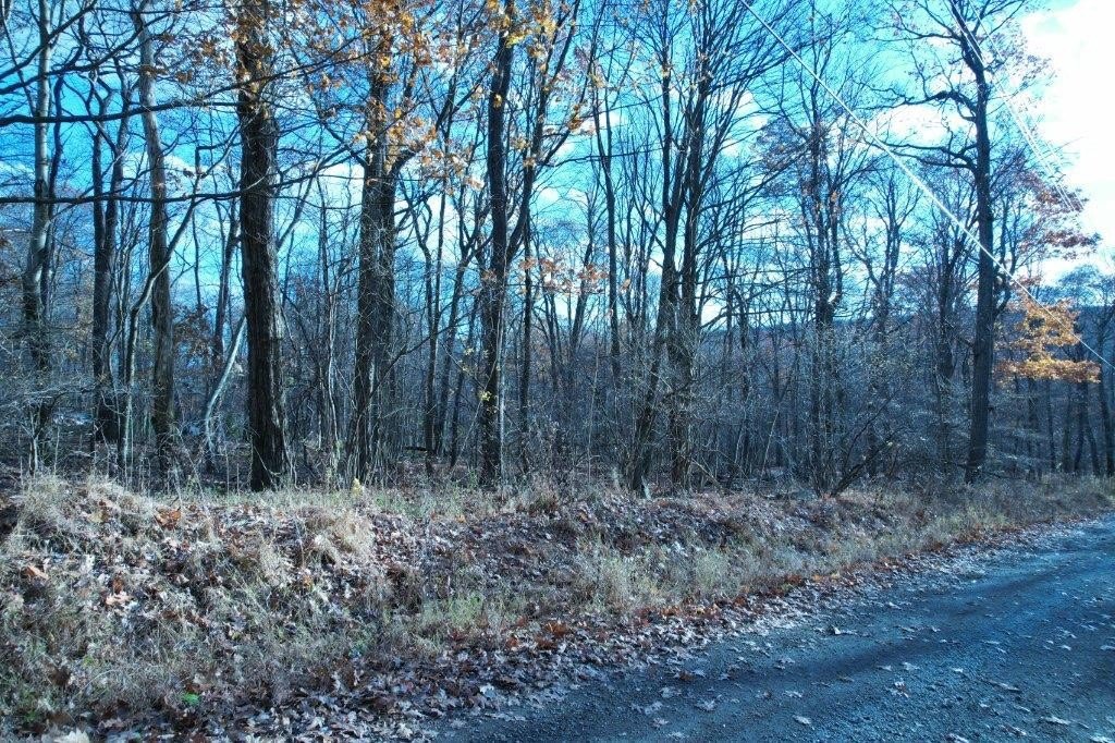 Picture 2