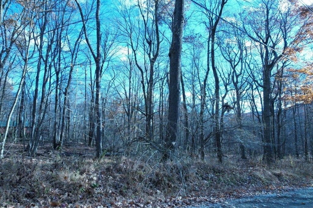 Picture 6