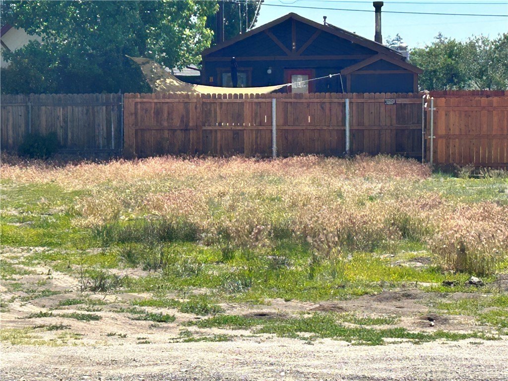 Picture 5
