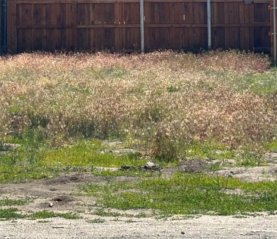 Picture 6