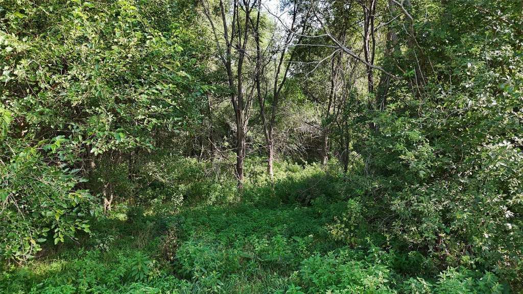 Picture 12