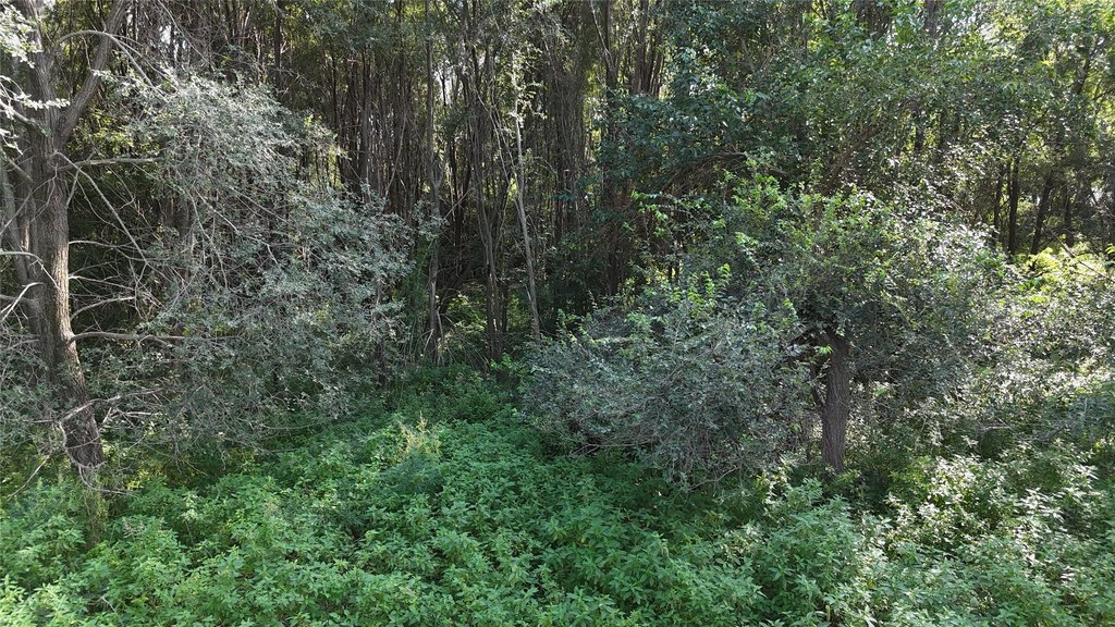 Picture 10
