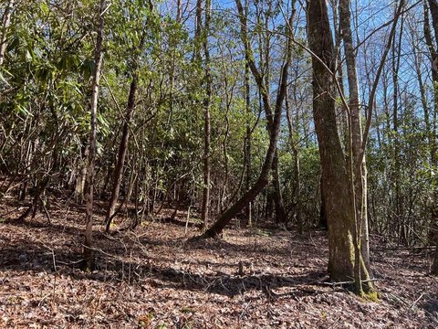 Land on Wayah Road