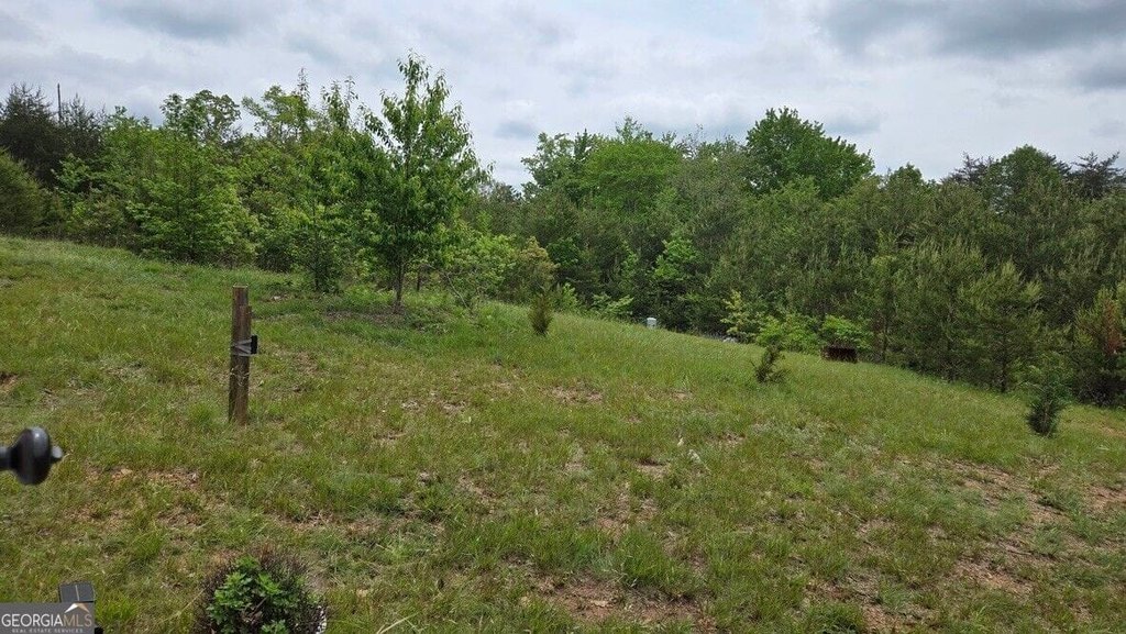 Picture 18