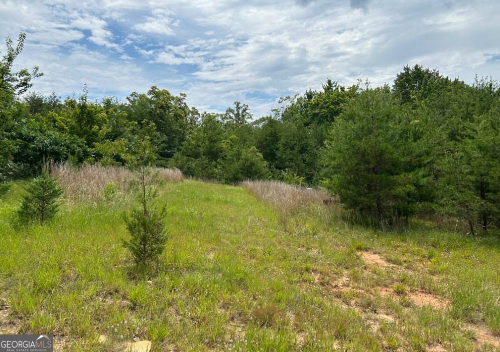 Picture 12