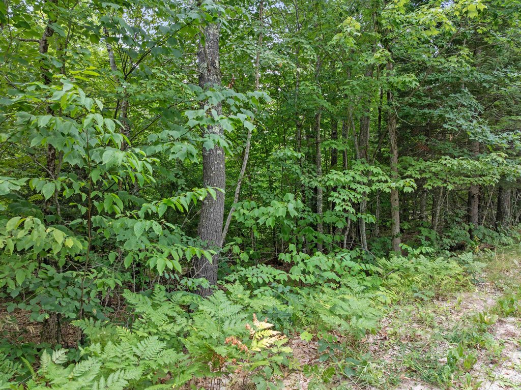 Picture 24