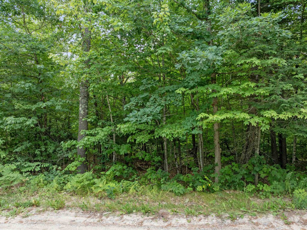 Picture 21