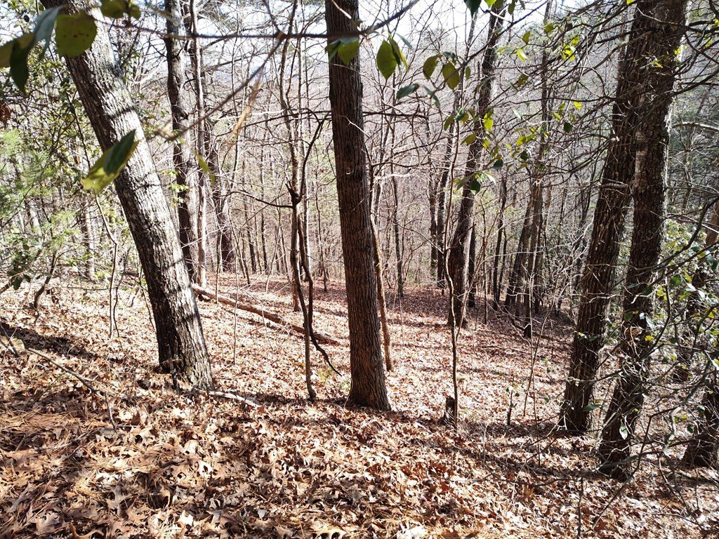 Picture 16