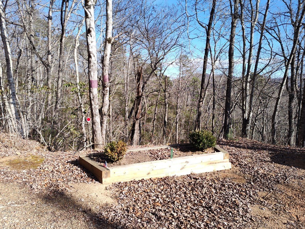 Picture 4