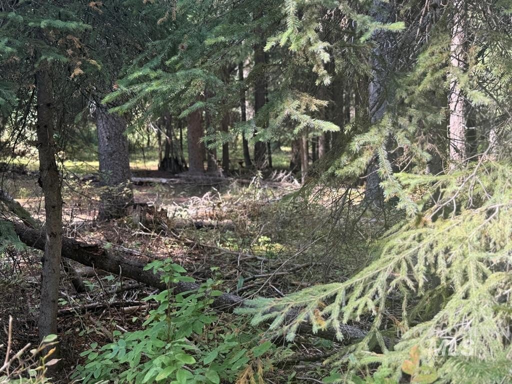 Picture 5