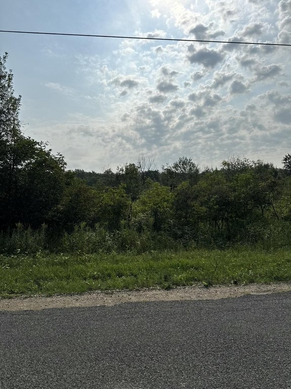 Picture 6