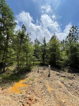 LAND - Broken Bow, OK