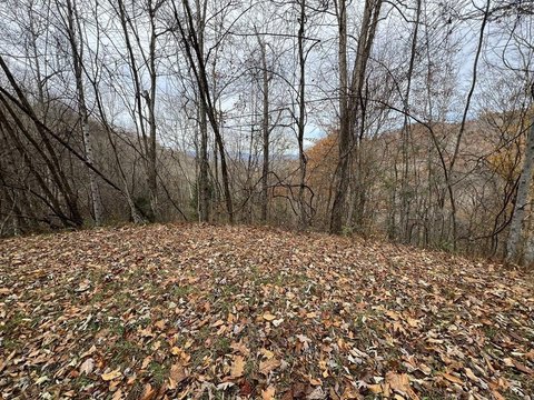 Secluded Wooded Lot Near Bryson