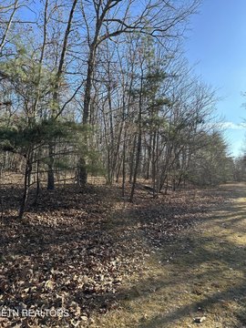 Land Near Golf Course