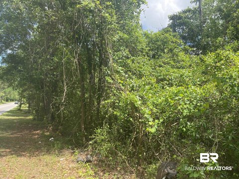 Residential Lots with Pond