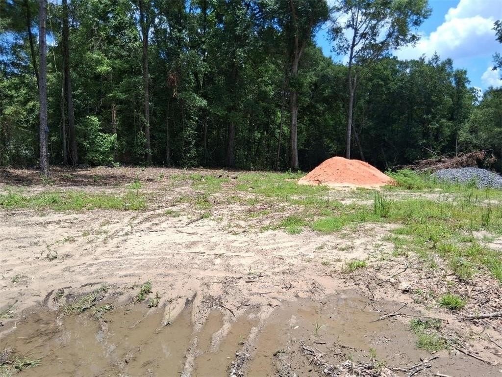 Picture 10