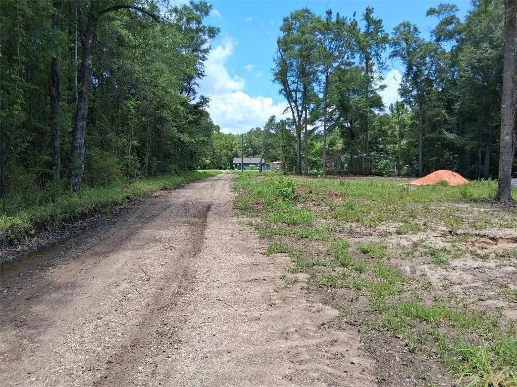 Picture 2