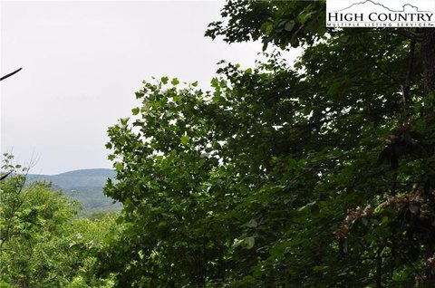 Land with Mountain Views