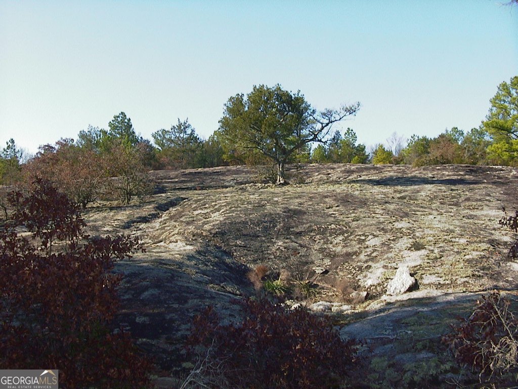 Picture 15