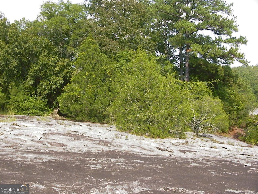 Picture 23