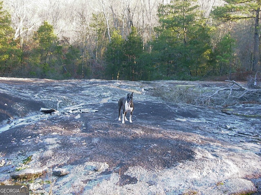 Picture 21