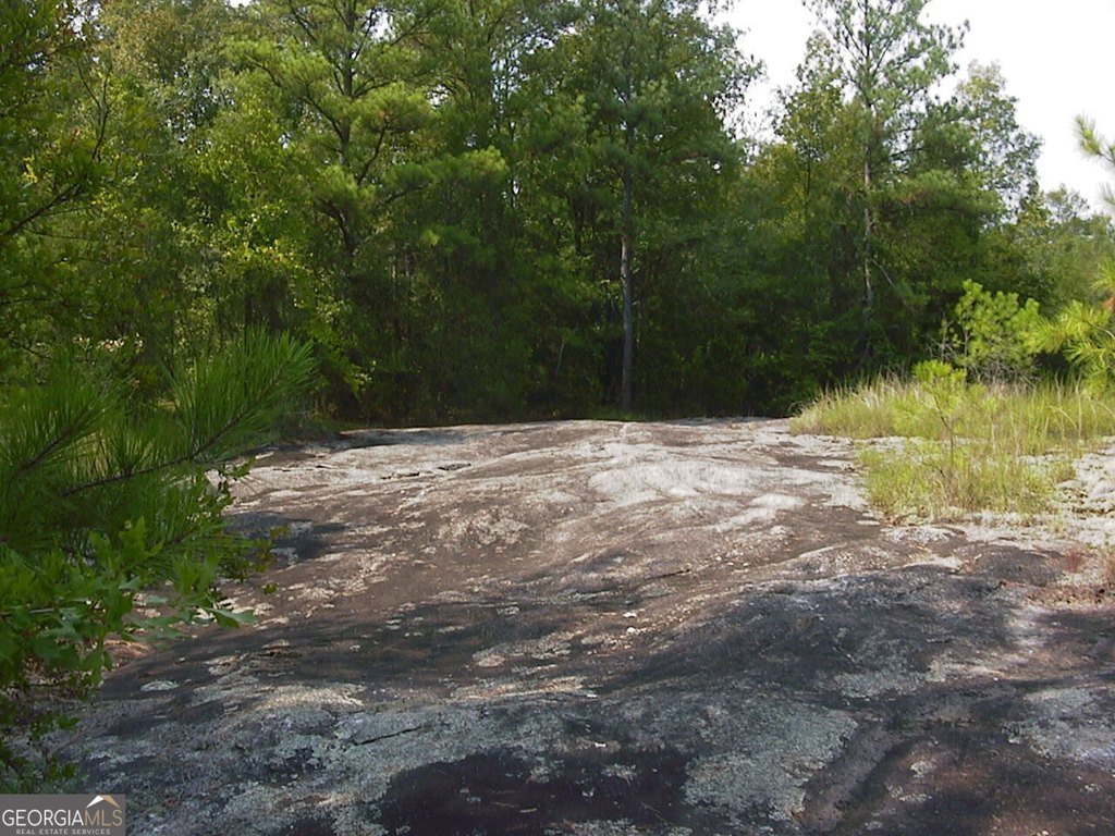 Picture 20
