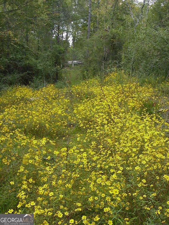 Picture 2