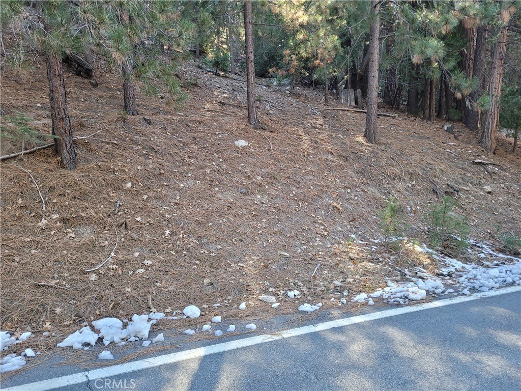 Picture 2
