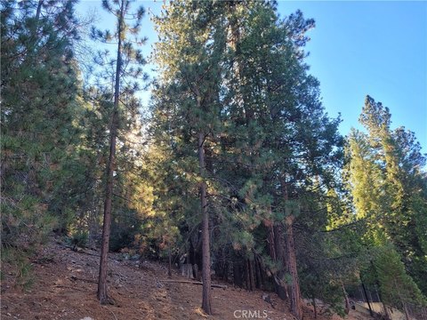 Lake Arrowhead Land with Rights