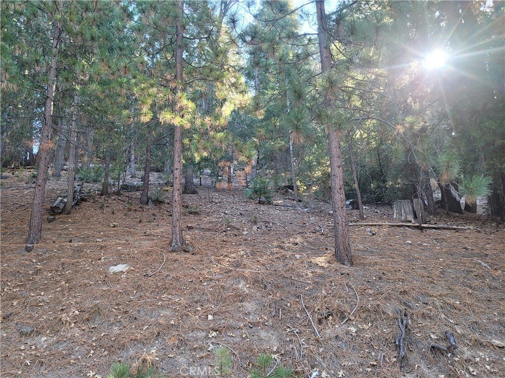 Picture 3