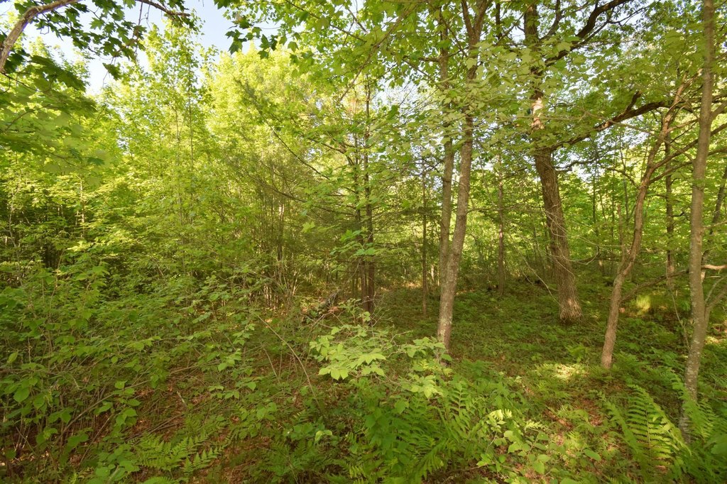 Picture 15