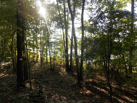 Waterfront Lot with Utilities