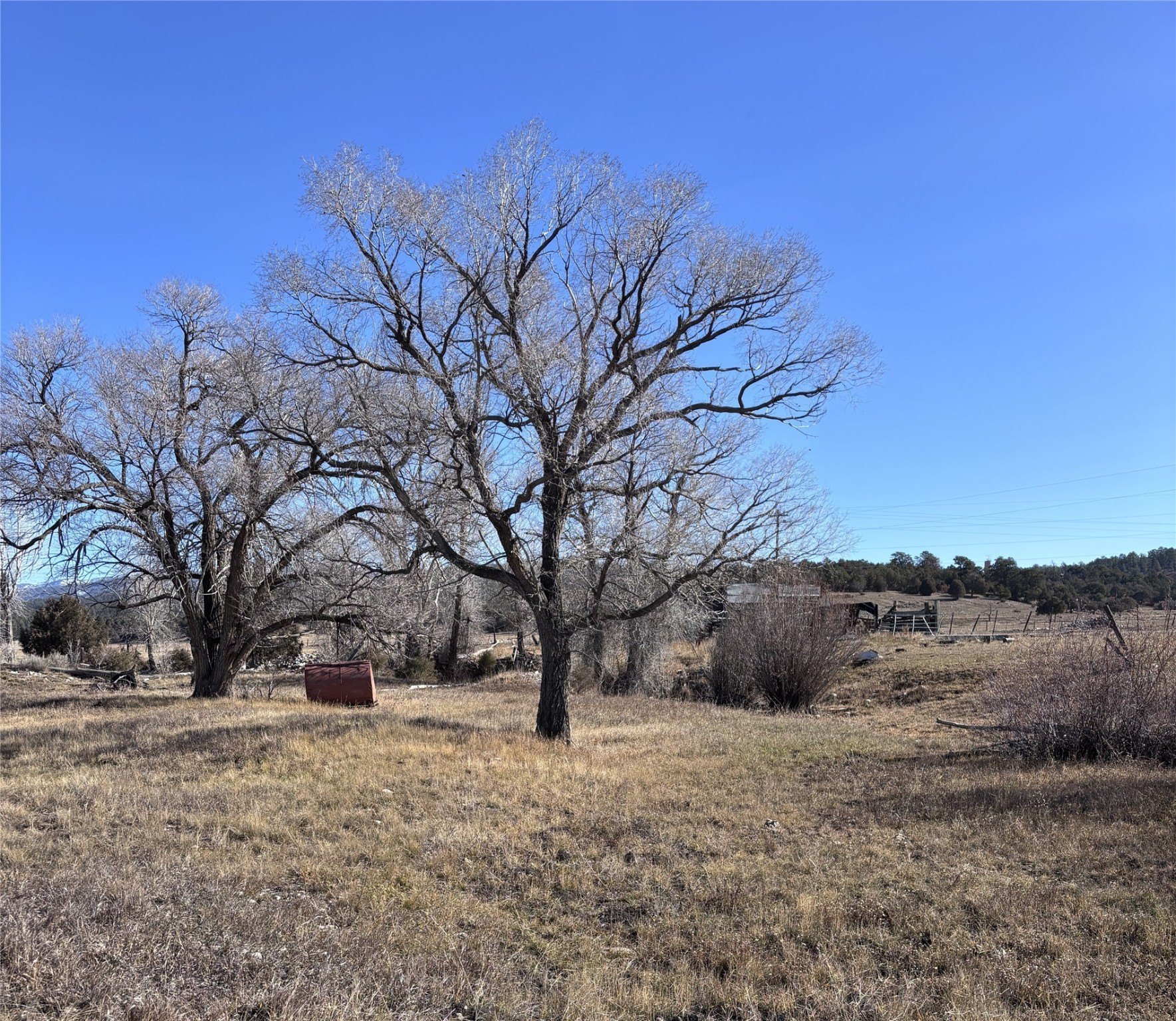 Land with Mountain Views