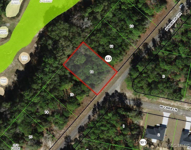 Citrus Springs Buildable Lot