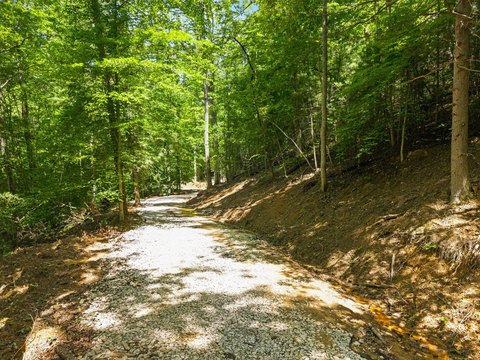 Land in Red River Gorge