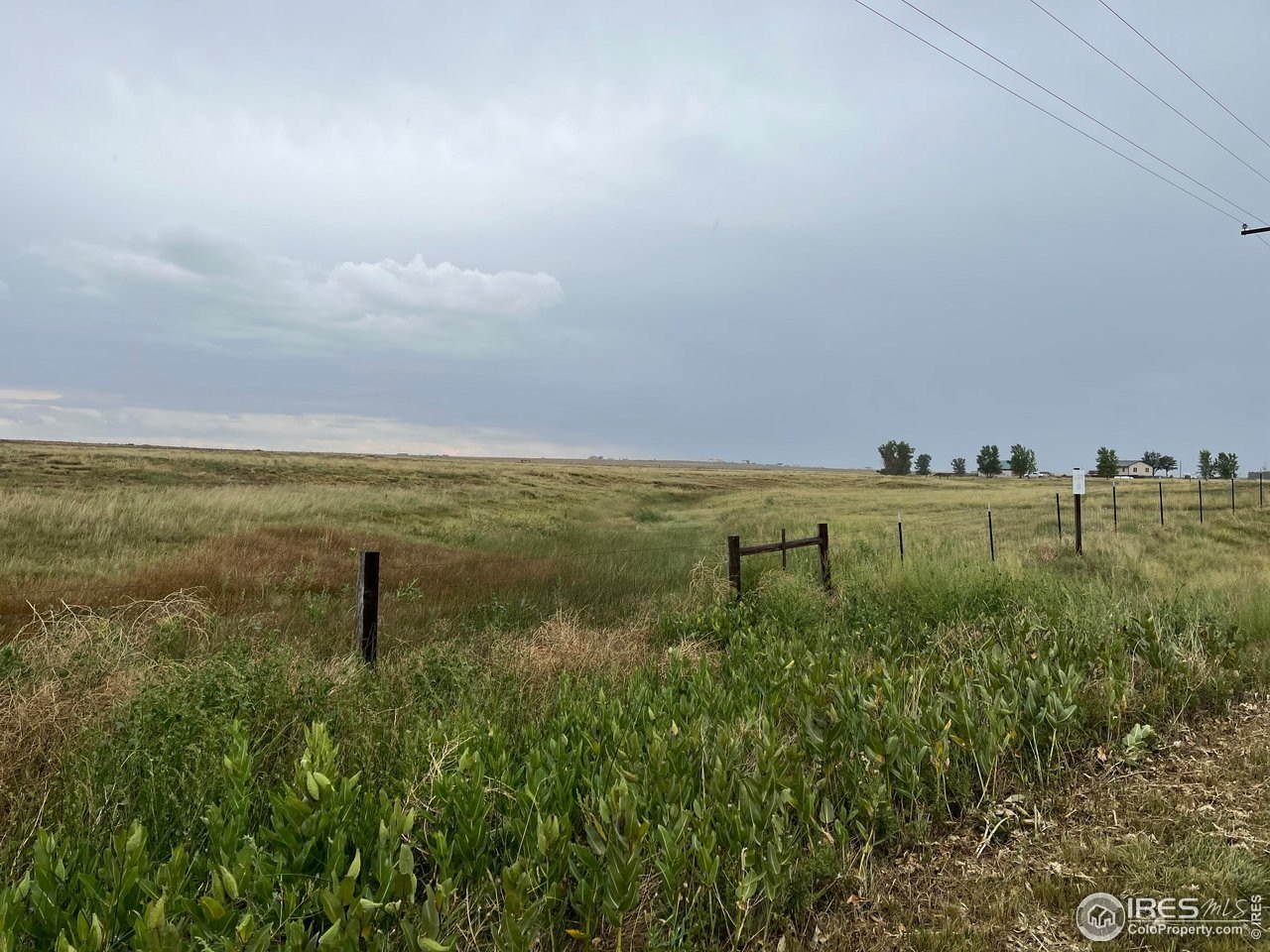 Weld County Fenced Pasture Land