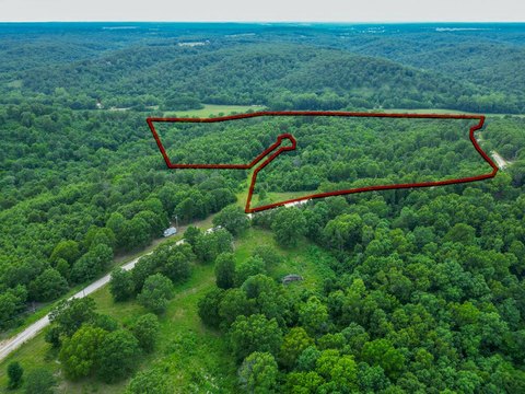 Surveyed Wooded Hunting Tract Lots
