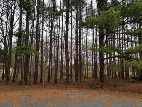 Residential Land in Roanoke Rapids