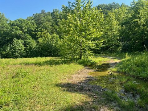 Hunting Land with Mineral Rights
